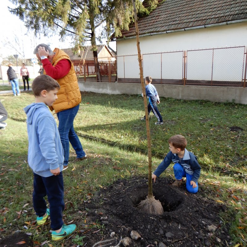 Közösségi faültetés Berettyóújfaluban 04